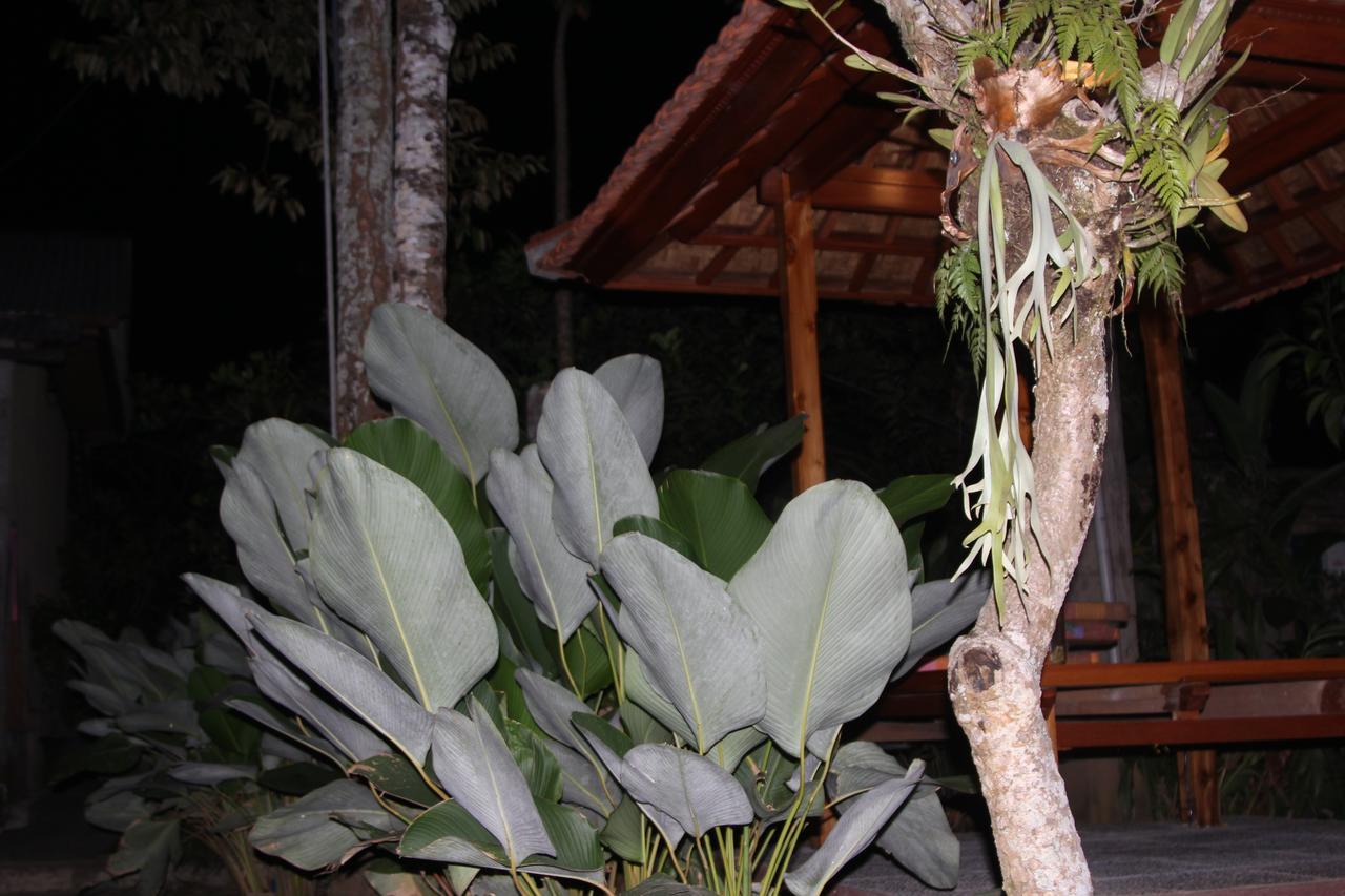 Jerogadung House Hotel Ubud Exterior foto